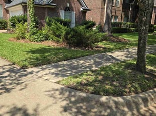 Ryan A.'s grass maintenance service result