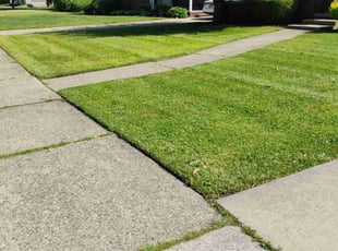 Bridget D.'s lawn maintenance service result