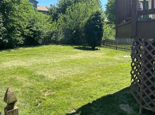 Gina p.'s grass maintenance service result