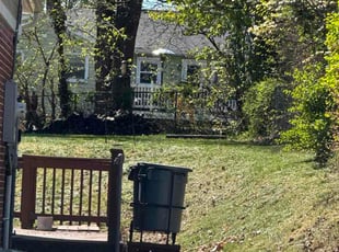 Michael K.'s lawn care service result