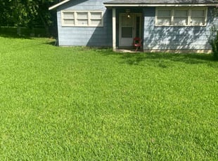 Jay M.'s lawn care services service result