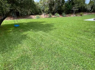 Ernest N.'s lawn maintenance service result