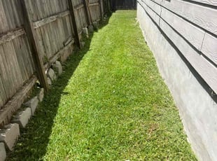 Amanda M.'s grass maintenance service result