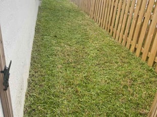 Jim A.'s grass cutting service result