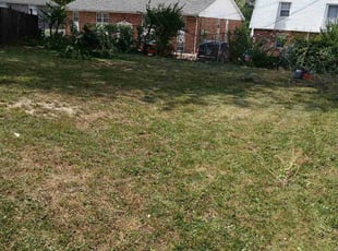 Kathy P.'s Bush Trimming service result