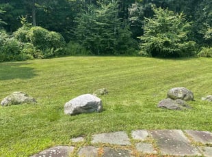 Savannah S.'s lawn care service result