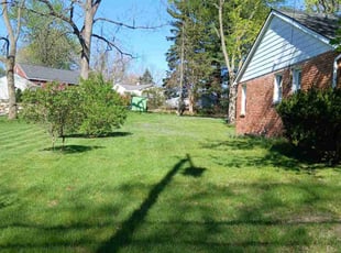 Andres M.'s lawn maintenance service result