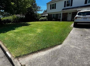 Robert T.'s lawn care services service result