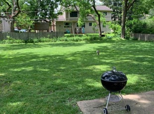 Ruth L.'s turf maintenance service result