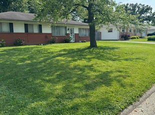 KRIS M.'s grass maintenance service result