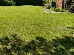 Charles K.'s grass maintenance service result