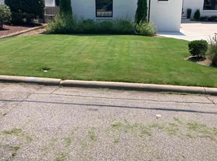 Justine J.'s lawn service service result