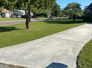 Paul F.'s lawn care service result