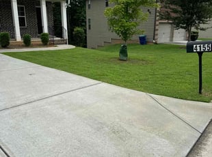 Kim C.'s lawn maintenance service result