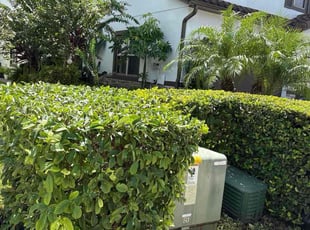 Kelly K.'s Bush Trimming service result