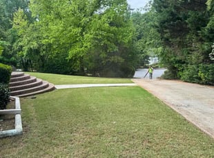 Troy T.'s turf care service result
