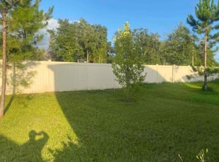 Dave B.'s yard service service result