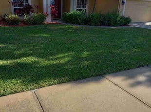 Rachel S.'s turf care service result