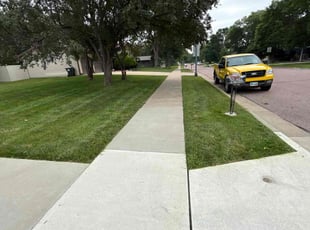 Charnitia W.'s lawn maintenance service result