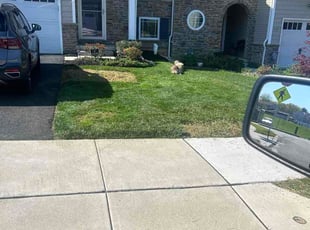 Shelby M.'s lawn care service result