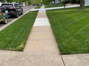 Julia N.'s lawn care service result
