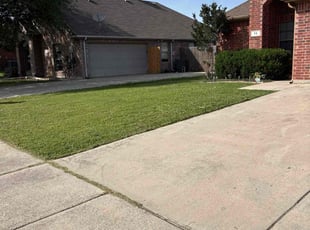 Yolette P.'s lawn care service result
