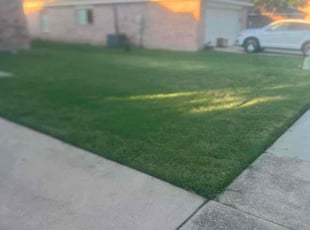 Terry J.'s lawn care service result