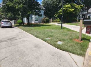 Eddie D.'s grass cutting service result
