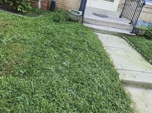 Marcus M.'s lawn maintenance service result