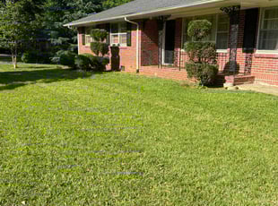 Mary E.'s Bush Trimming service result