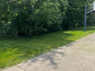 Cody F.'s turf maintenance service result