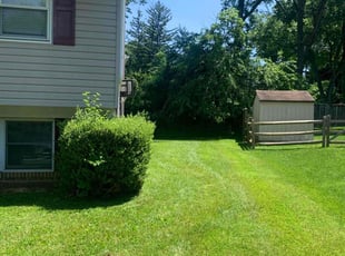Jeannette T.'s lawn maintenance service result