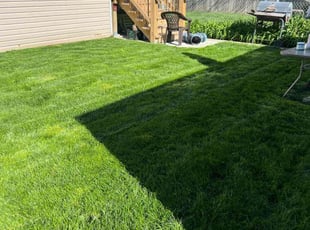 Richard H.'s residential landscaping service result