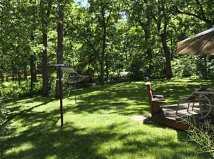 Mike G.'s grass cutting service result