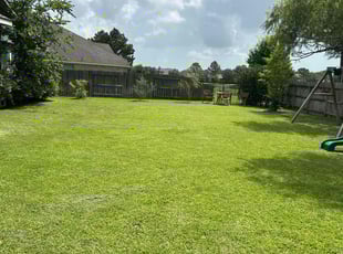 Ramona S.'s lawn care services service result