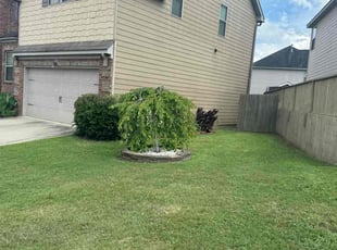 Lloyd H.'s grass maintenance service result