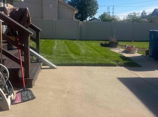 Miramique B.'s lawn service service result