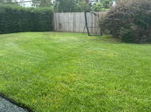 Gilmar D.'s lawn care services service result