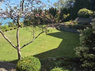 Randy A.'s lawn maintenance service result