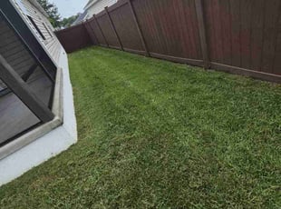 Seunghee H.'s grass maintenance service result