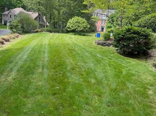 Jessica S.'s grass cutting service result