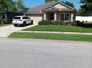 Debora C.'s turf care service result