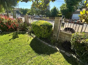 Ashleigh F.'s Bush Trimming service result