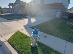Pamela C.'s lawn maintenance service result