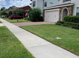 Kristina H.'s lawn maintenance service result
