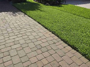 Brandon L.'s lawn service service result