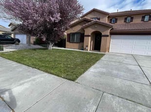 Jorge R.'s grass cutting service result
