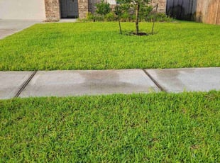 Robert M.'s turf maintenance service result