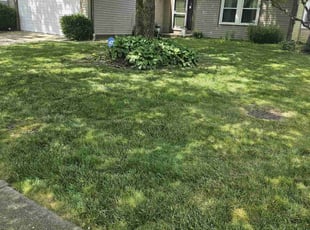 Jonathan F.'s lawn service service result