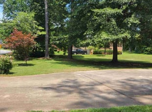 Julio C.'s yard work service result